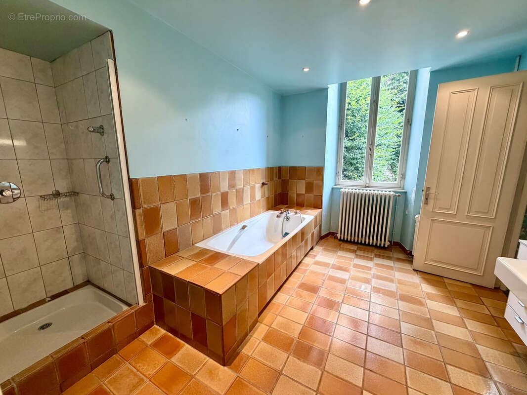 Vente jolie villa sur terrain de 602 m2 avec petite dépendance LUXEUIL LES BAINS - photo 13