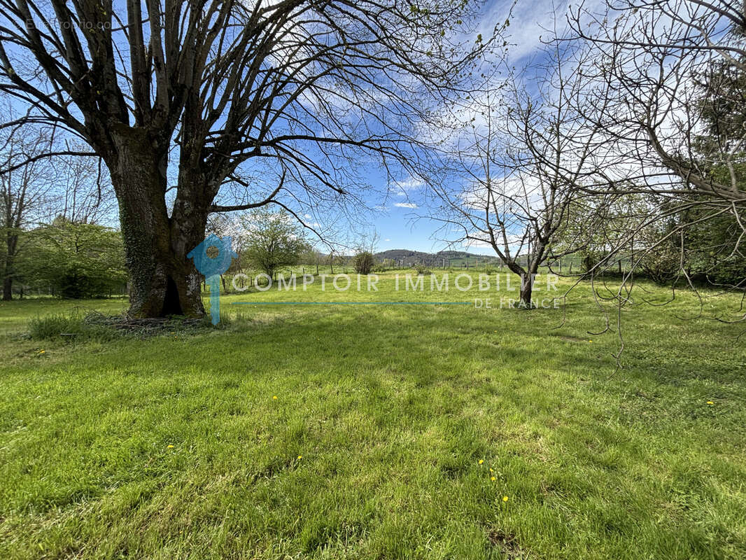 Maison 135 m2 - 3 chambres - 2000 m2 Terrain - photo 3