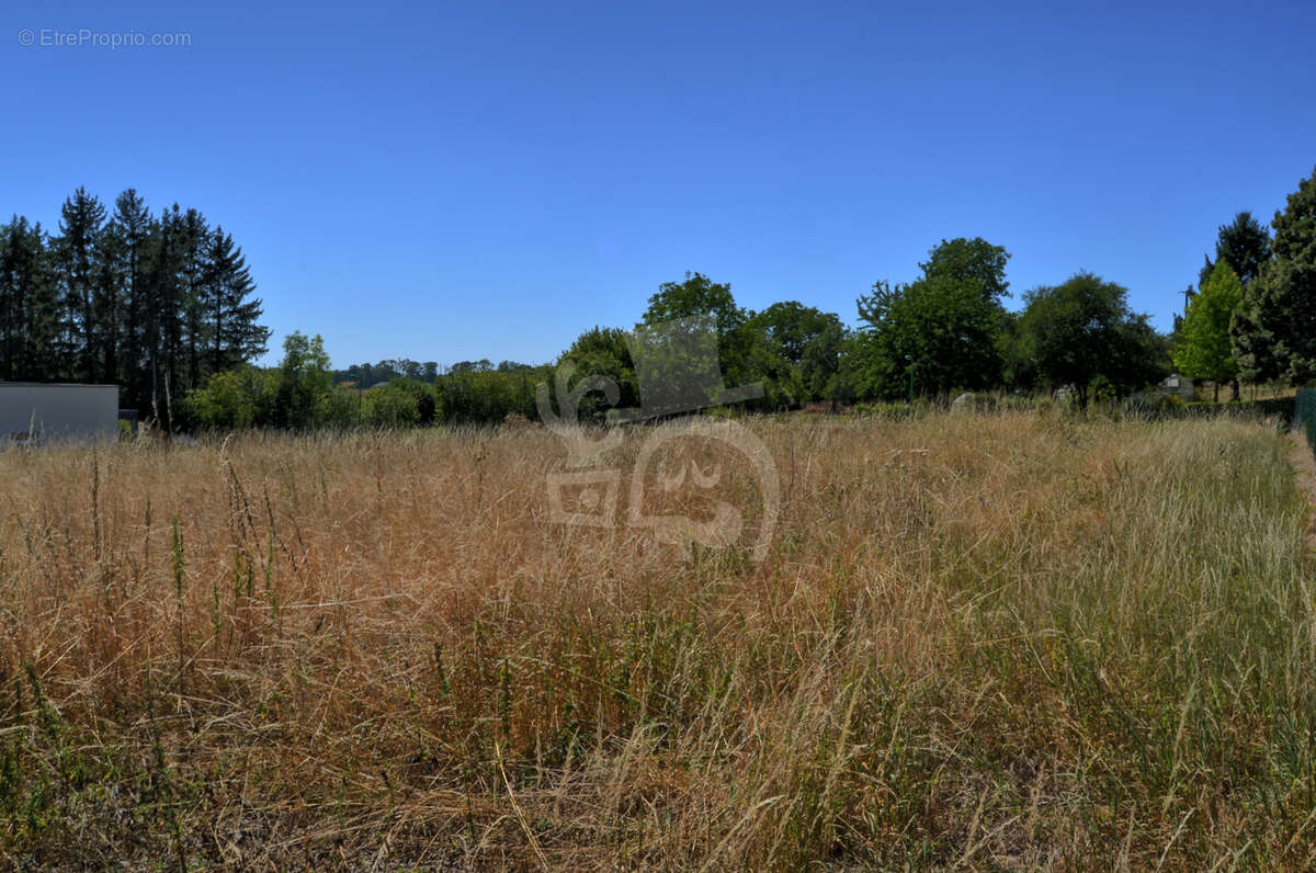 Terrain viabilisé de 1610 m2 qui n'attend plus que votre maison - photo 9