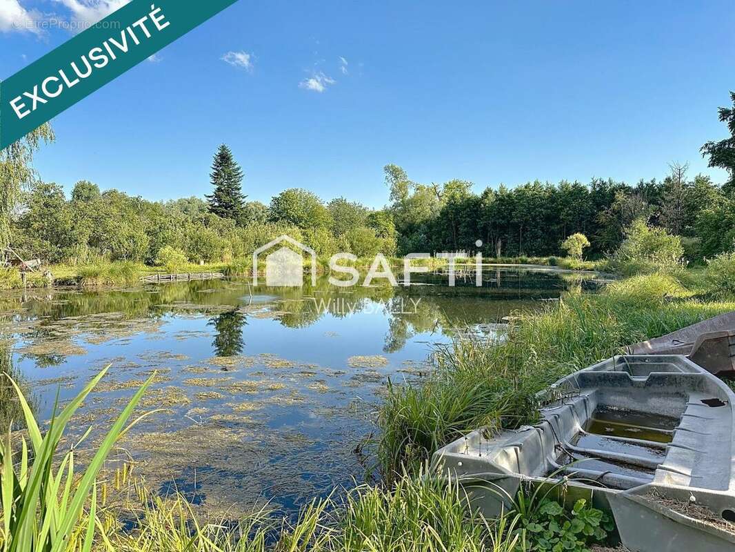 Photo 9 - Maison à MONTREUIL