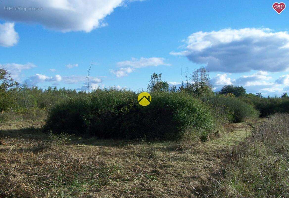 Terrain à BOURGES