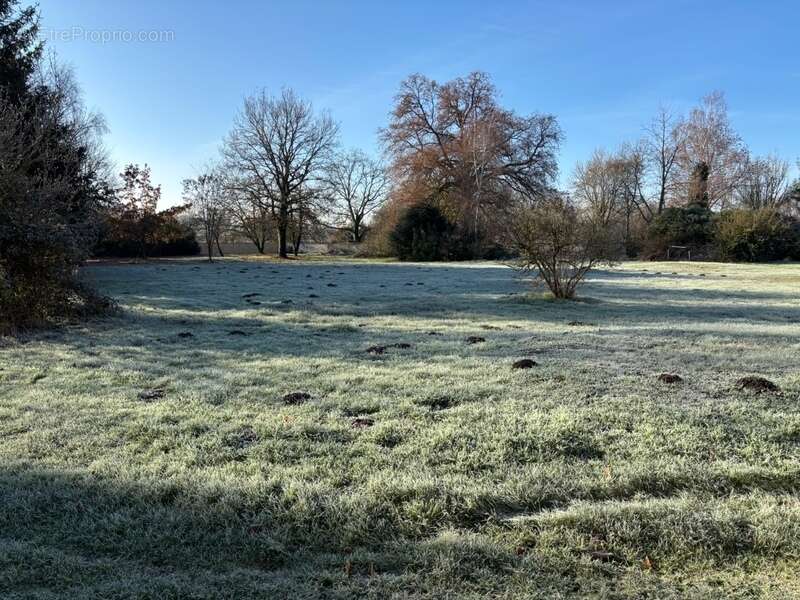 Maison à SOMMERVILLER