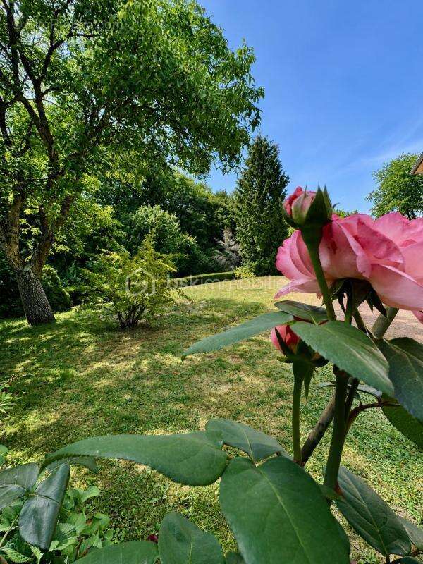  Sur les hauteurs de Creutzwald, en lisière de forêt – Maison familiale de 175 m² avec appartement indépendant et plus de 100 m² - photo 26