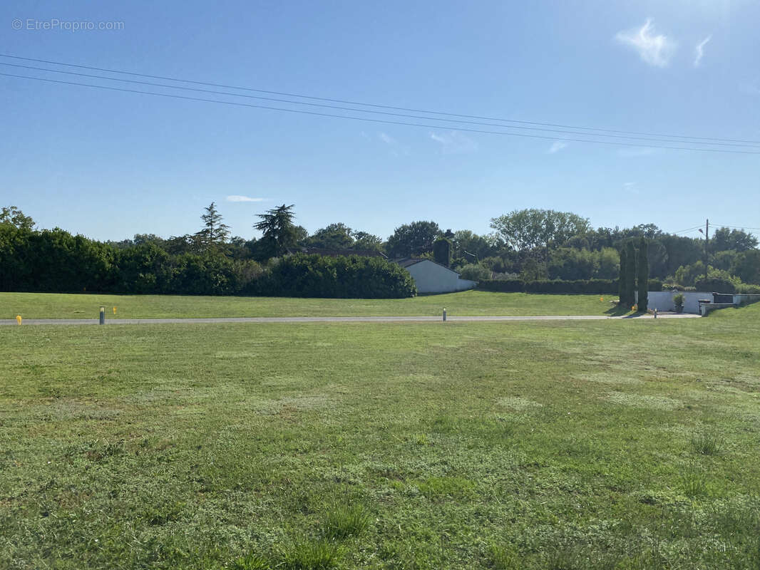 Terrain à BESSIERES