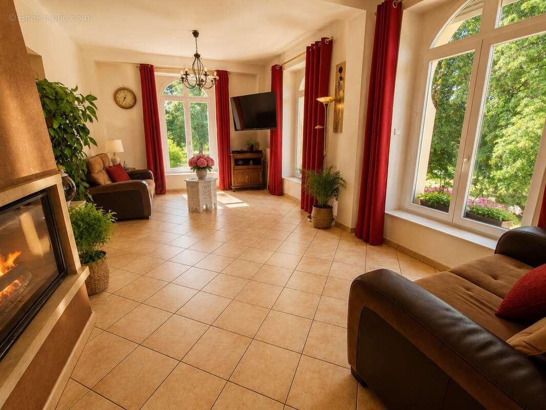 Propriete à vendre 9 pièces MIRECOURT (88) PROPRIÉTÉ D'EXCEPTION avec PISCINE sur TERRAIN clos et arboré de + de 6.500 m2 - photo 7