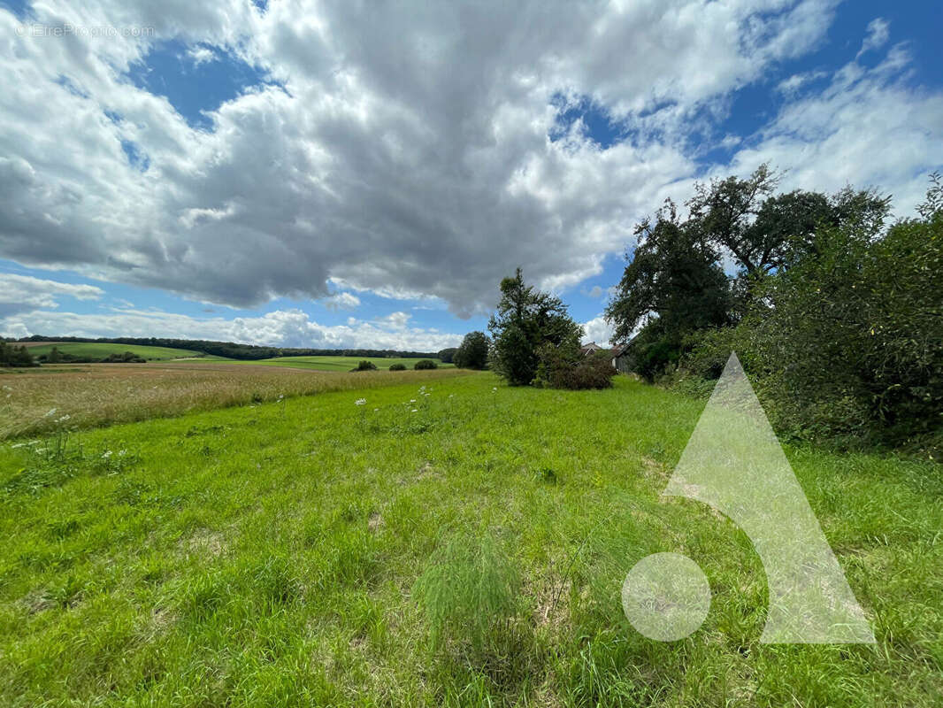 Terrain à VAUCHASSIS