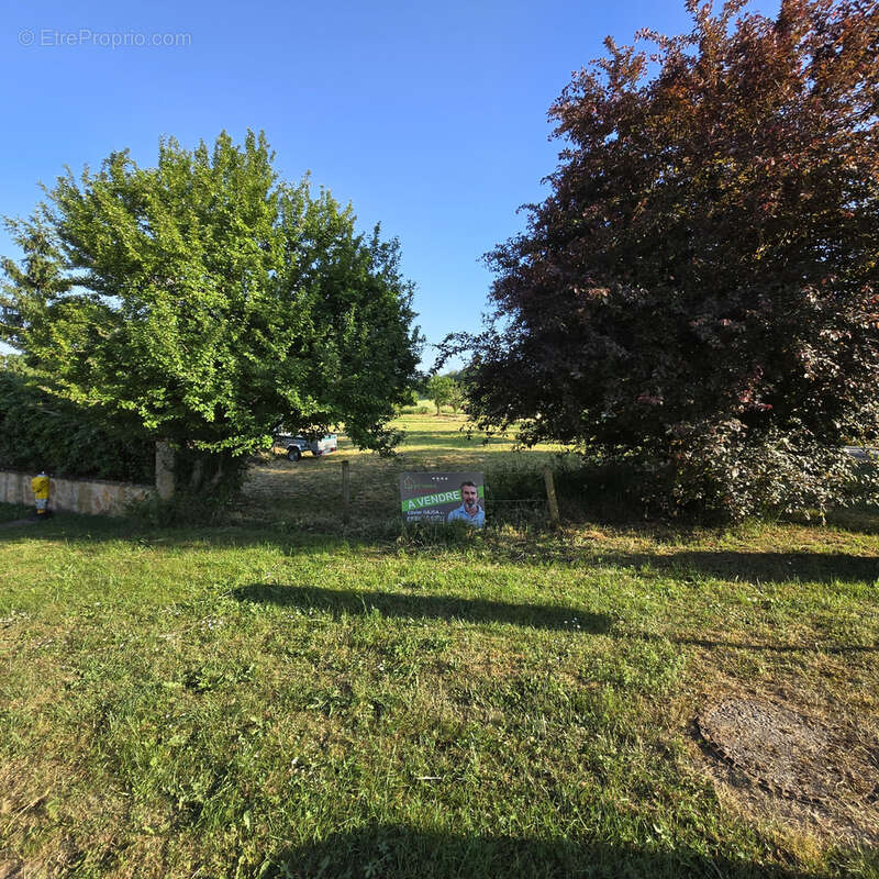 Terrain à TANTONVILLE