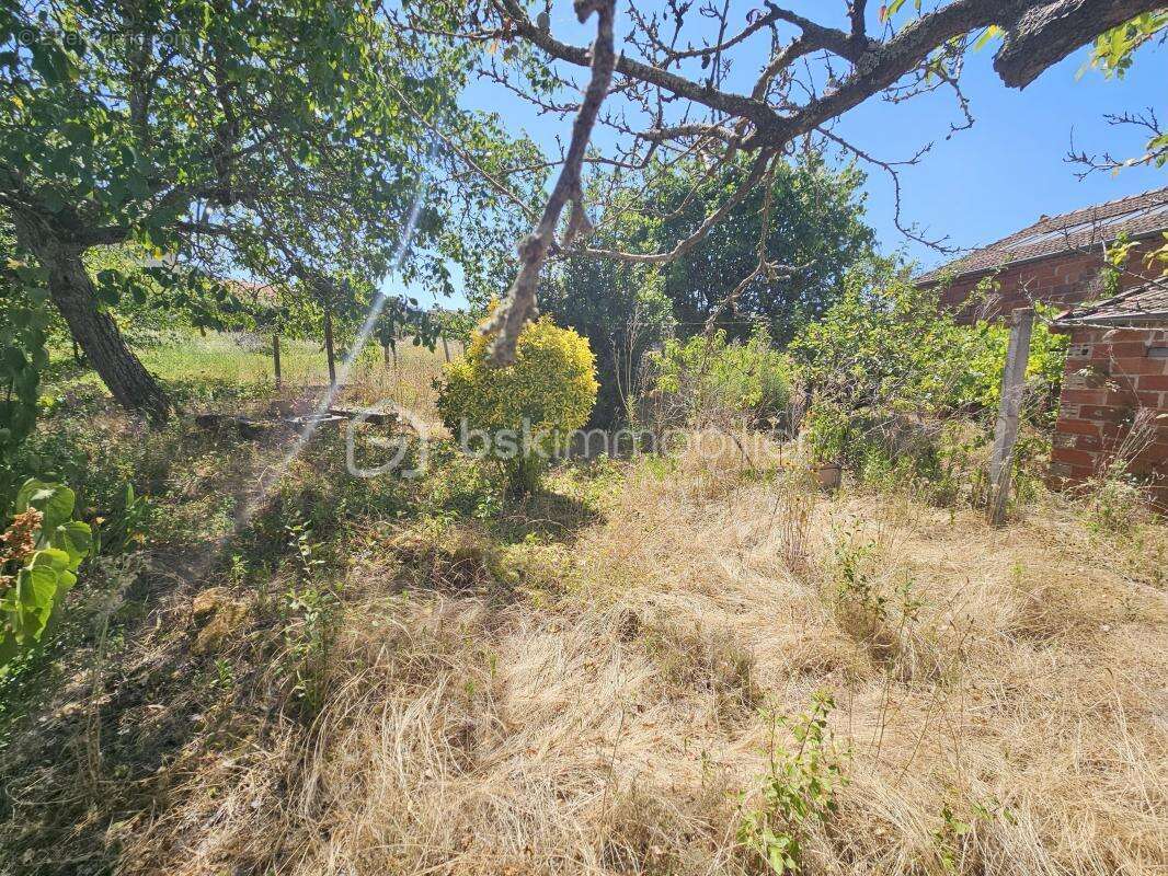 Terrain à LA PACAUDIERE