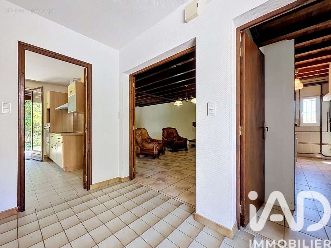Maison 163 m² à Lasserre-De-Prouille  - photo 9
