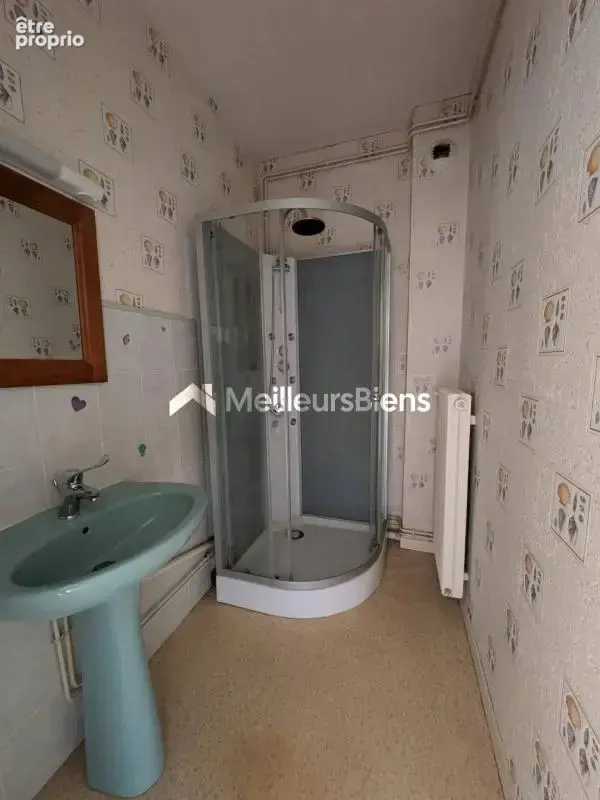 Immeuble d'habitation 6 logements à Bourbonne-les-Bains, 344 m² - photo 3