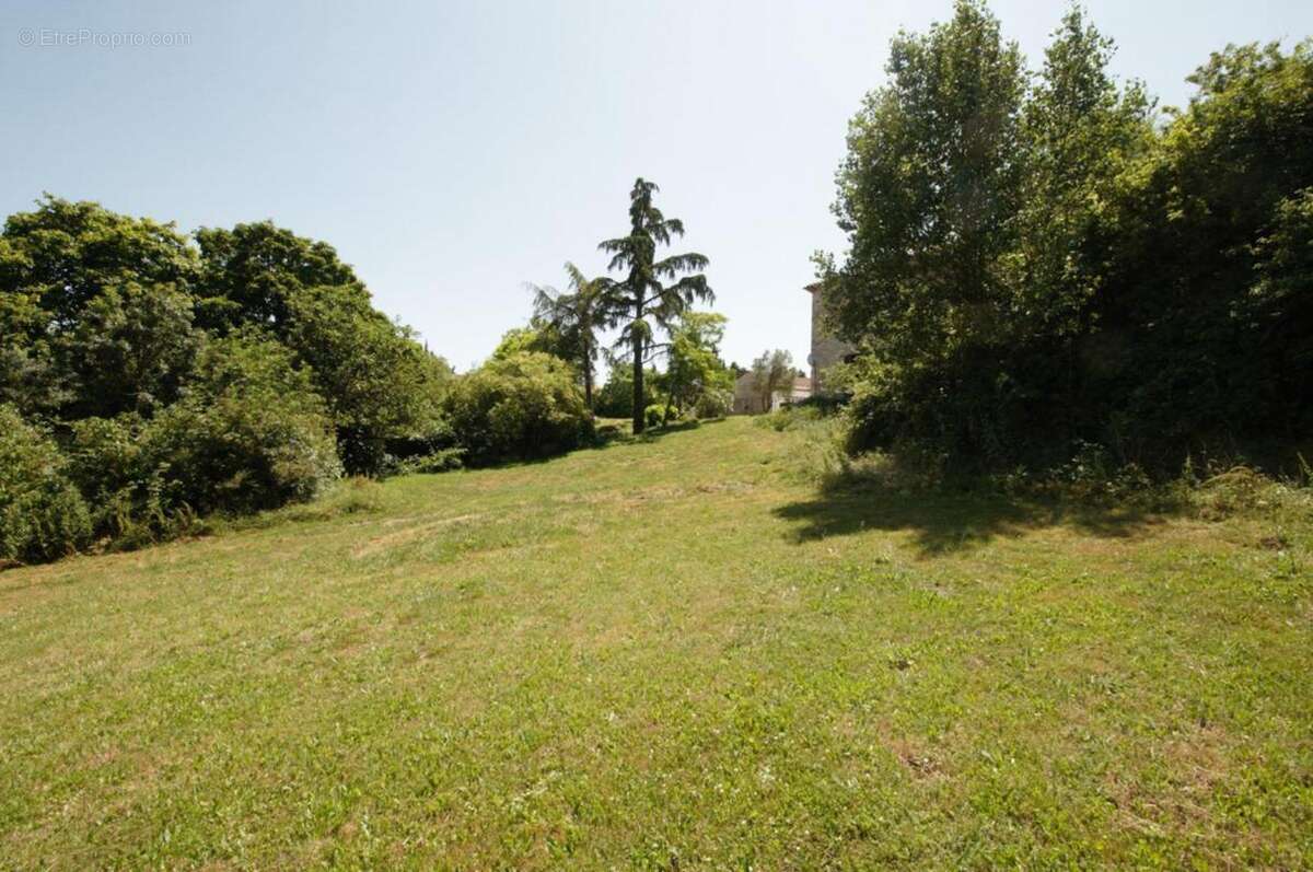 Maison 265 m² à Albi  - photo 18