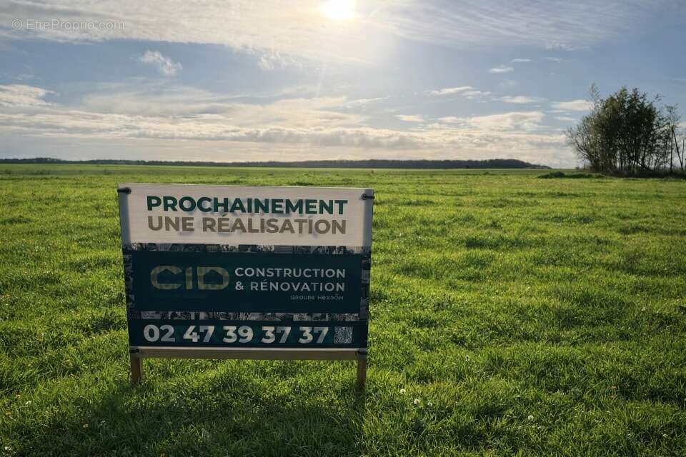 Terrain à SAVIGNE-SUR-LATHAN