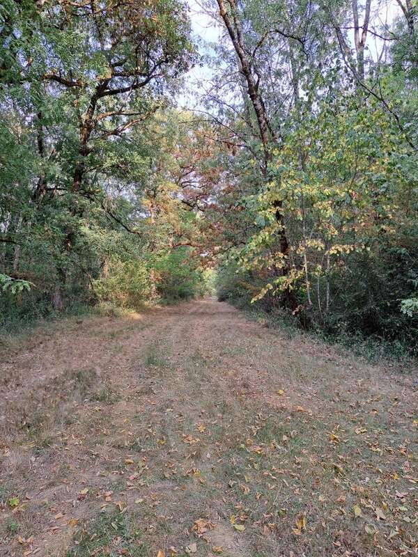 Maison à LABOUTARIE