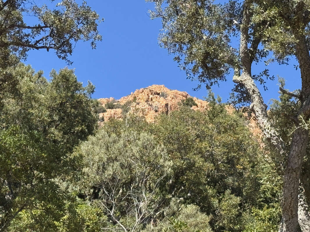 Terrain à LA SEYNE-SUR-MER