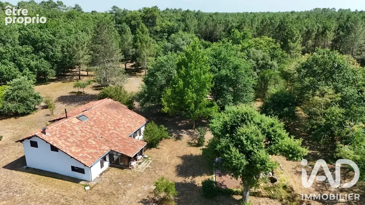 Photo 1 - Maison à SAUGNACQ-ET-MURET