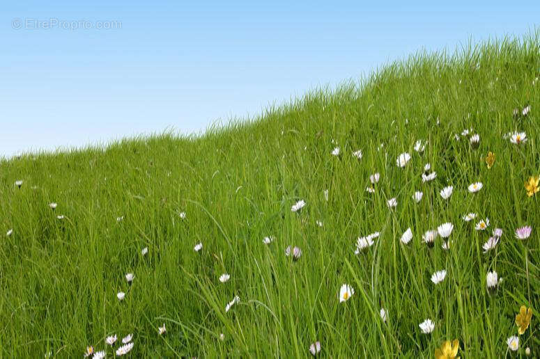 Terrain à TIGNIEU-JAMEYZIEU