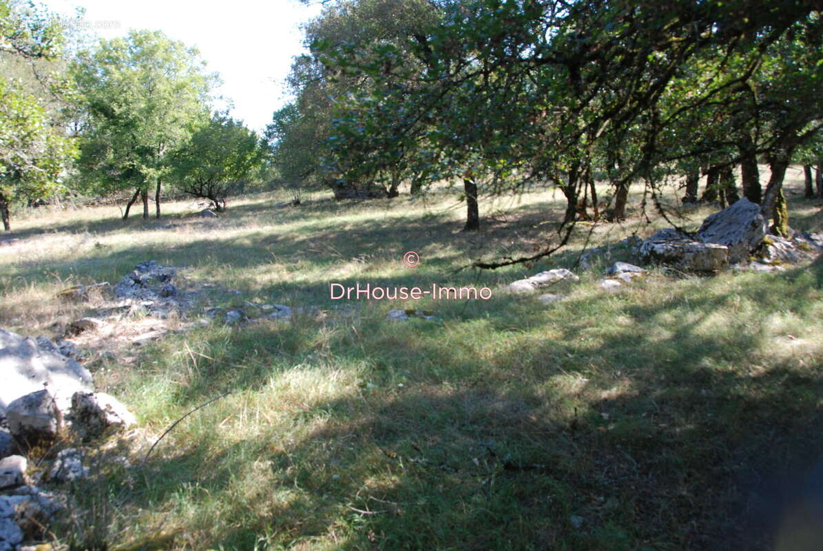 Terrain 1870 m² à Loubressac  - photo 5