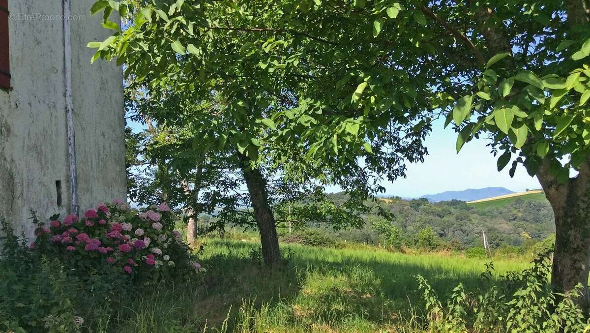 Maison à LOHITZUN-OYHERCQ