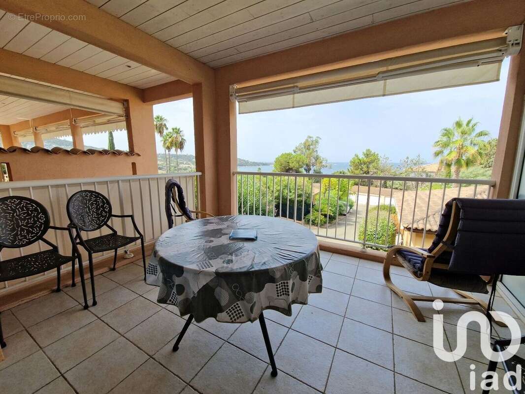 Photo 2 - Appartement à PIETROSELLA