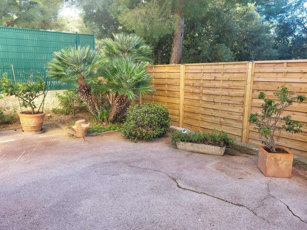 Photo 3 - Appartement à SAINT-MANDRIER-SUR-MER