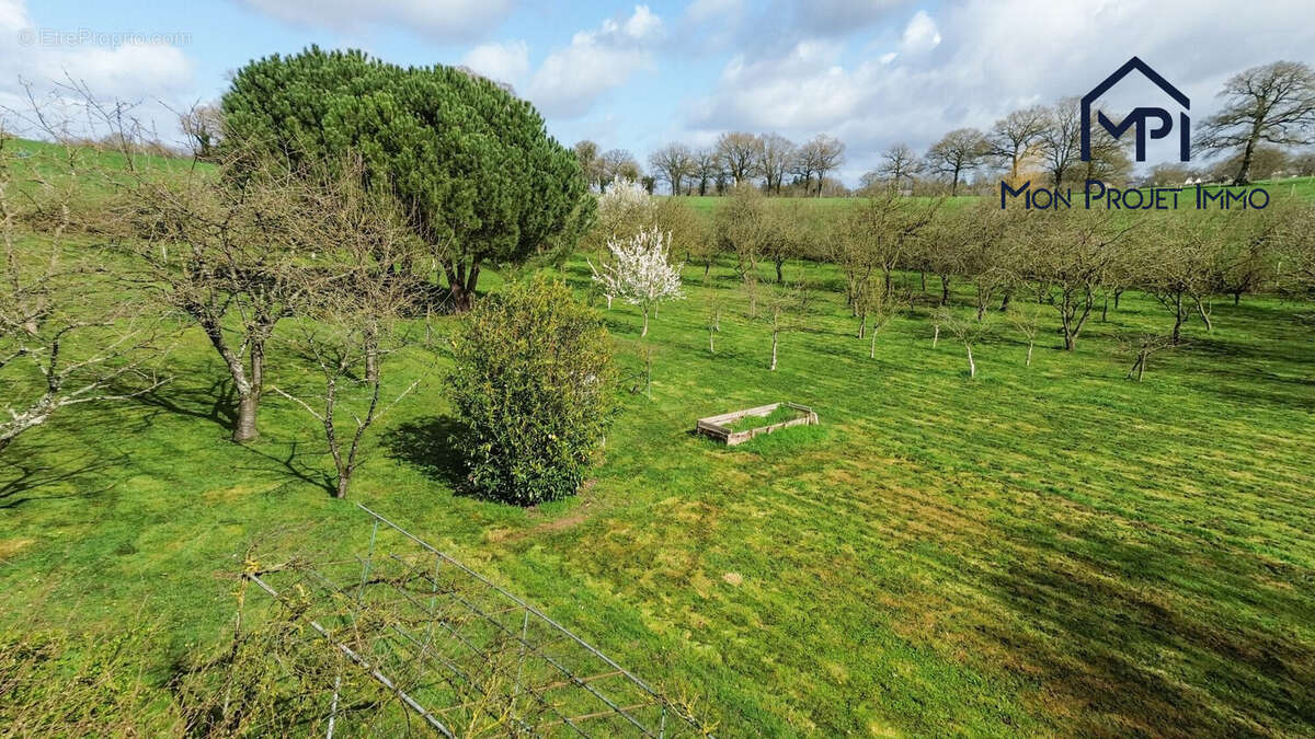 Terrain à LA BACONNIERE