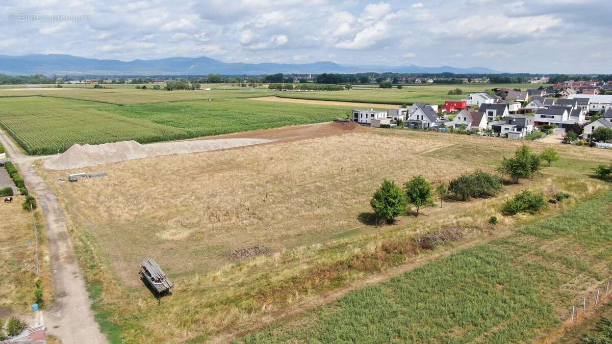 Terrain à BISCHWIHR