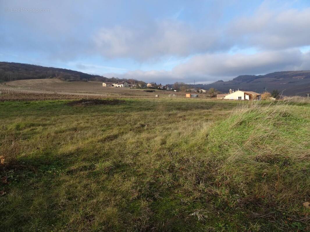 Terrain à LEYNES