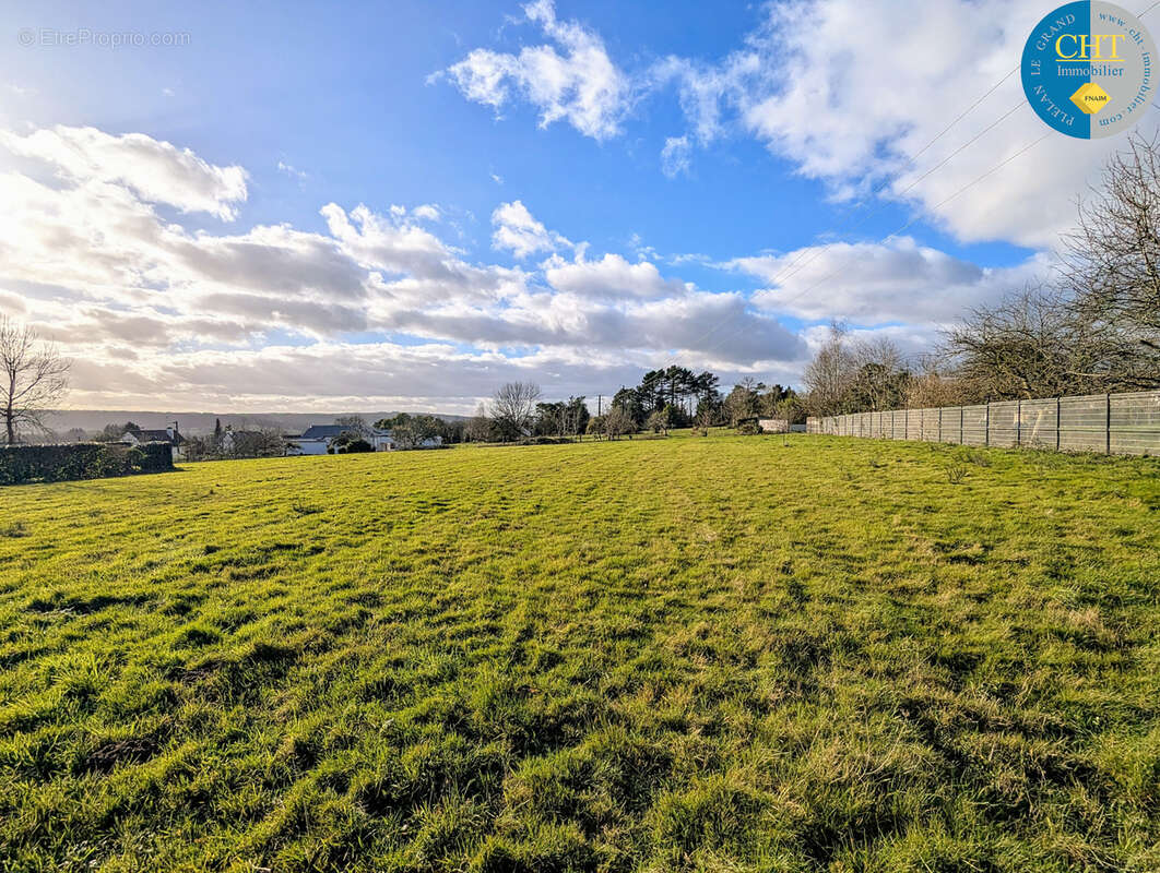 Terrain constructible de 546m2 à vendre à GUER (56 380) - photo 3