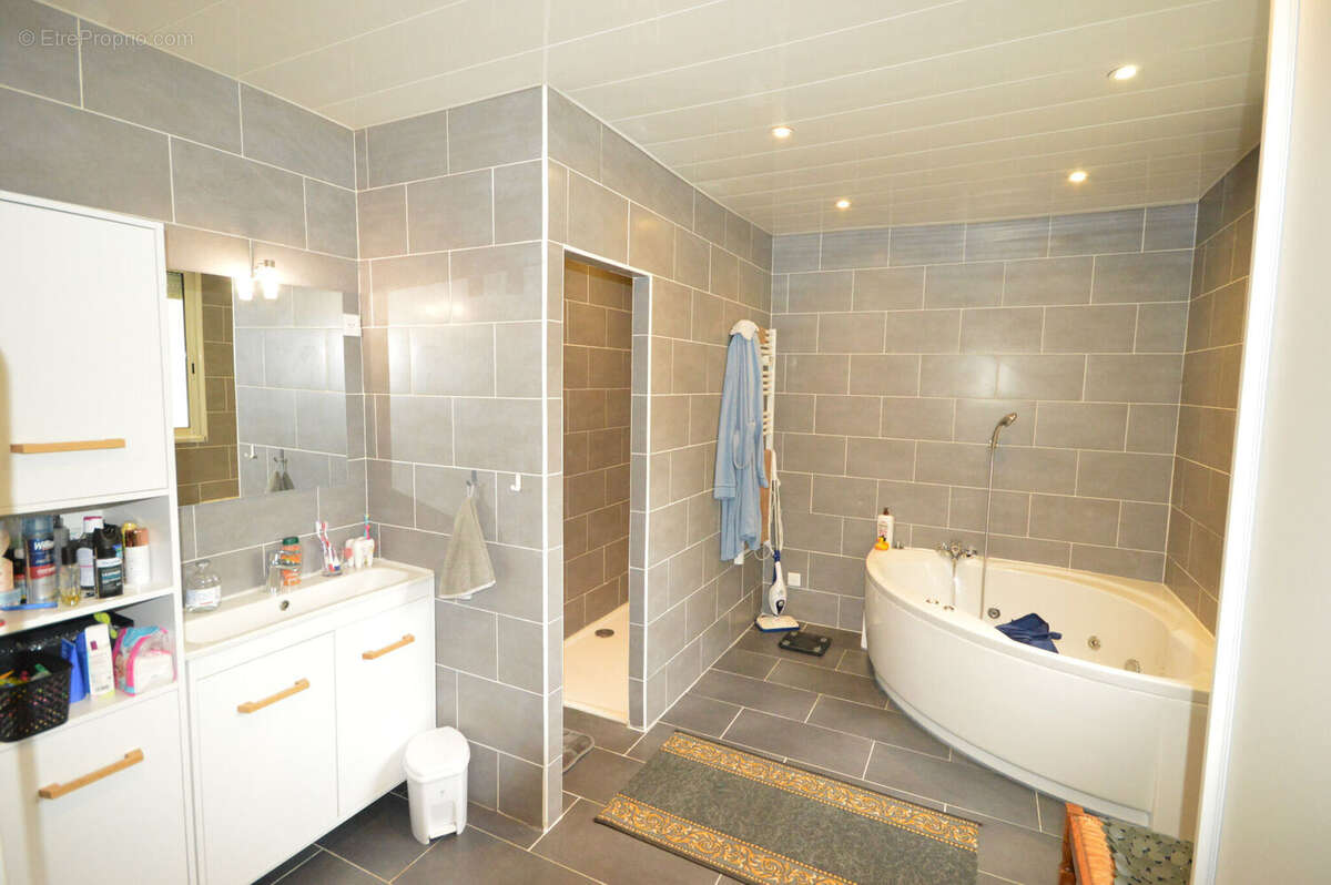 Photo 7 - Maison à SAINTE-SUZANNE