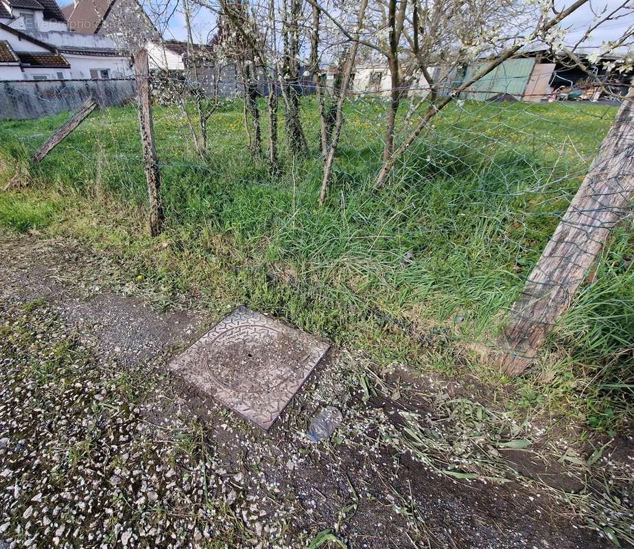 Terrain à TOURNAN-EN-BRIE