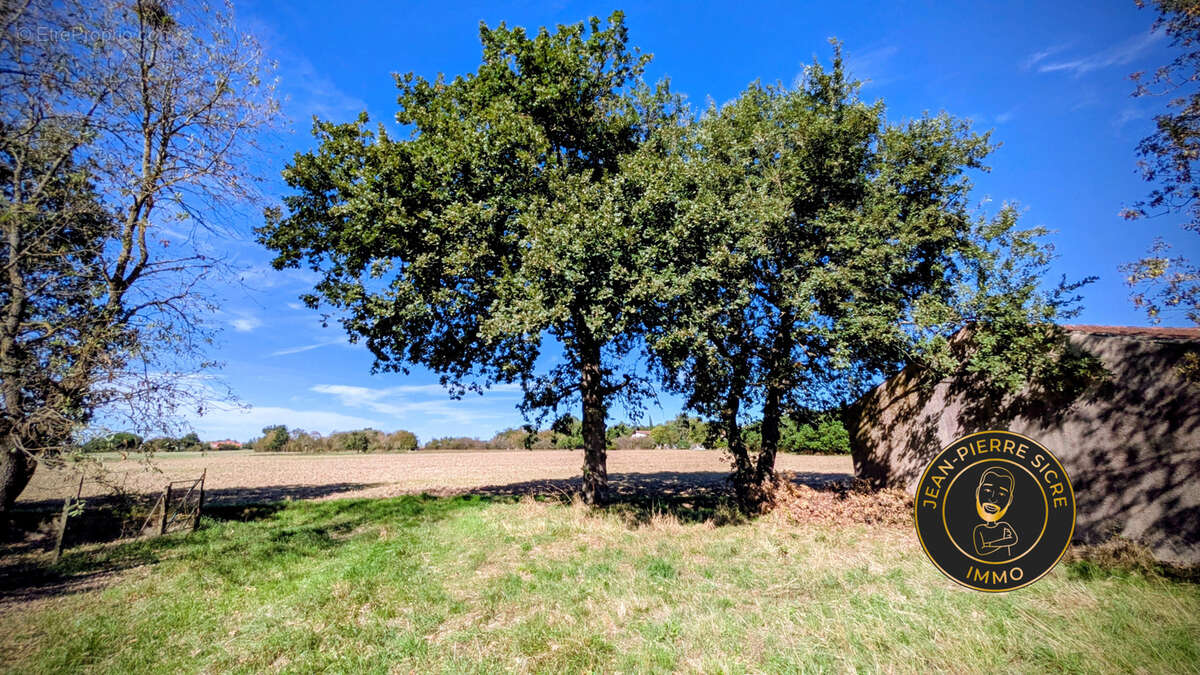 Terrain à EAUNES
