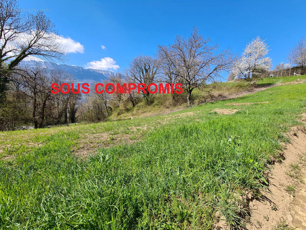 Terrain à LE CHEYLAS