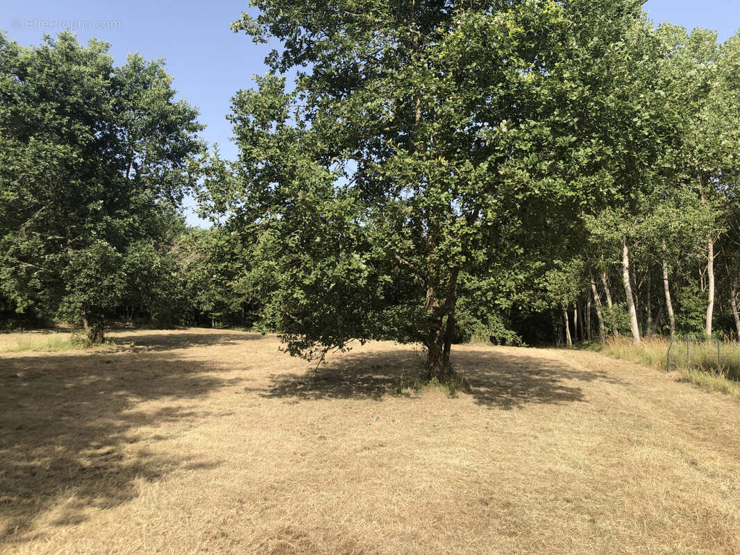 Terrain à CAZAUBON