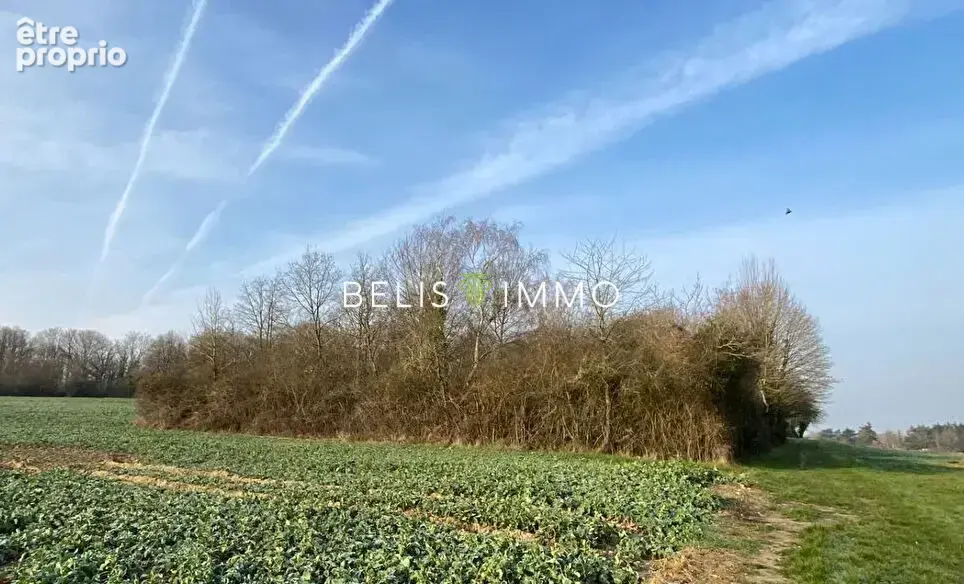 Terrain à AMBOISE