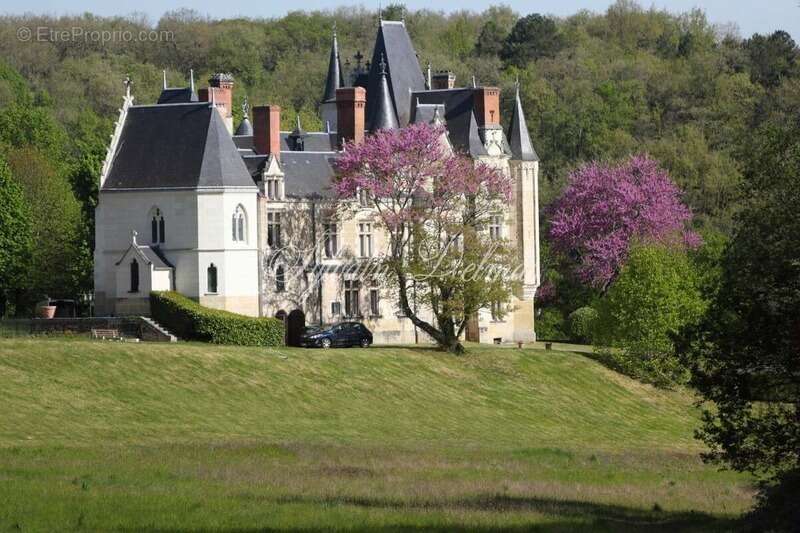 Propriete à vendre 50 pièces proche de TOURS (37) - photo 3
