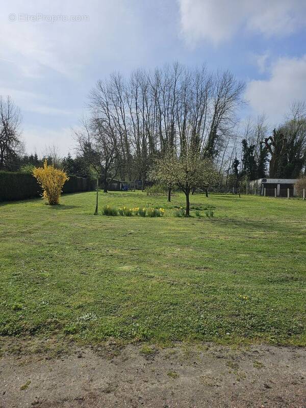 Terrain à CARLEPONT