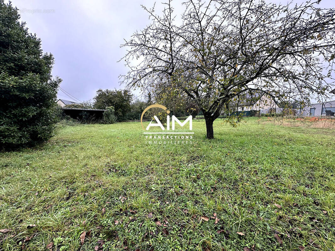 Terrain à MONTLOUIS-SUR-LOIRE