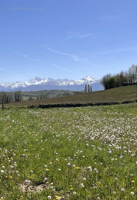 Terrain à LOUEY