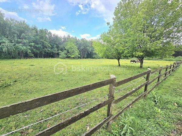 Magnifique longere renovee de 379 m2 avec 4 chambres et piscine sur 1.8 hectare !!! - photo 8