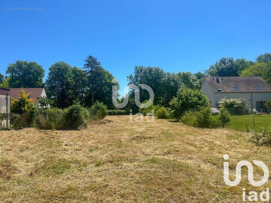 Photo 4 - Terrain à GREZ-SUR-LOING