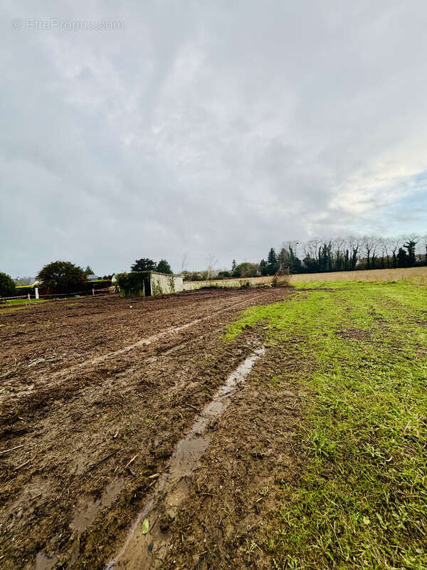 Terrain à LA FORET-FOUESNANT
