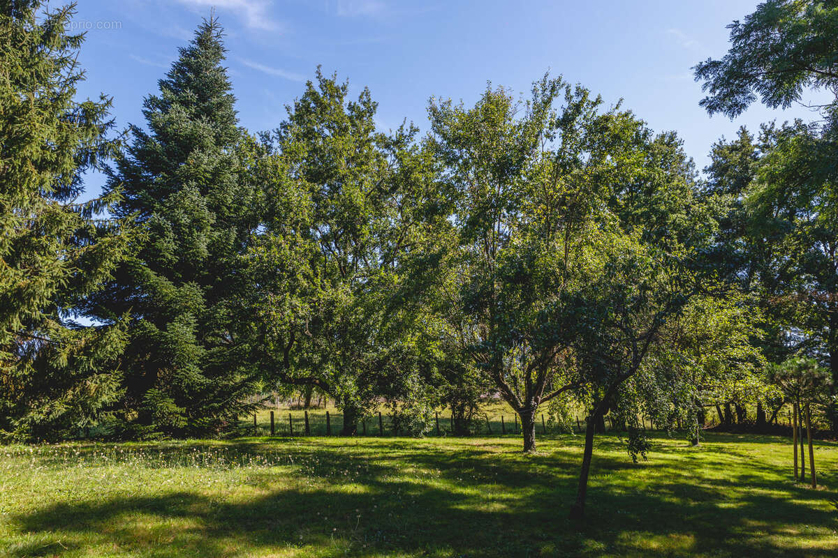 Maison à MONTMERLE-SUR-SAONE