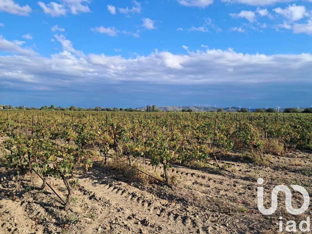 Photo 3 - Terrain à CANET