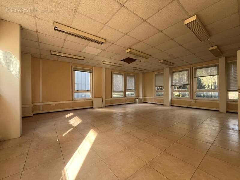 Commerce à LE CANNET