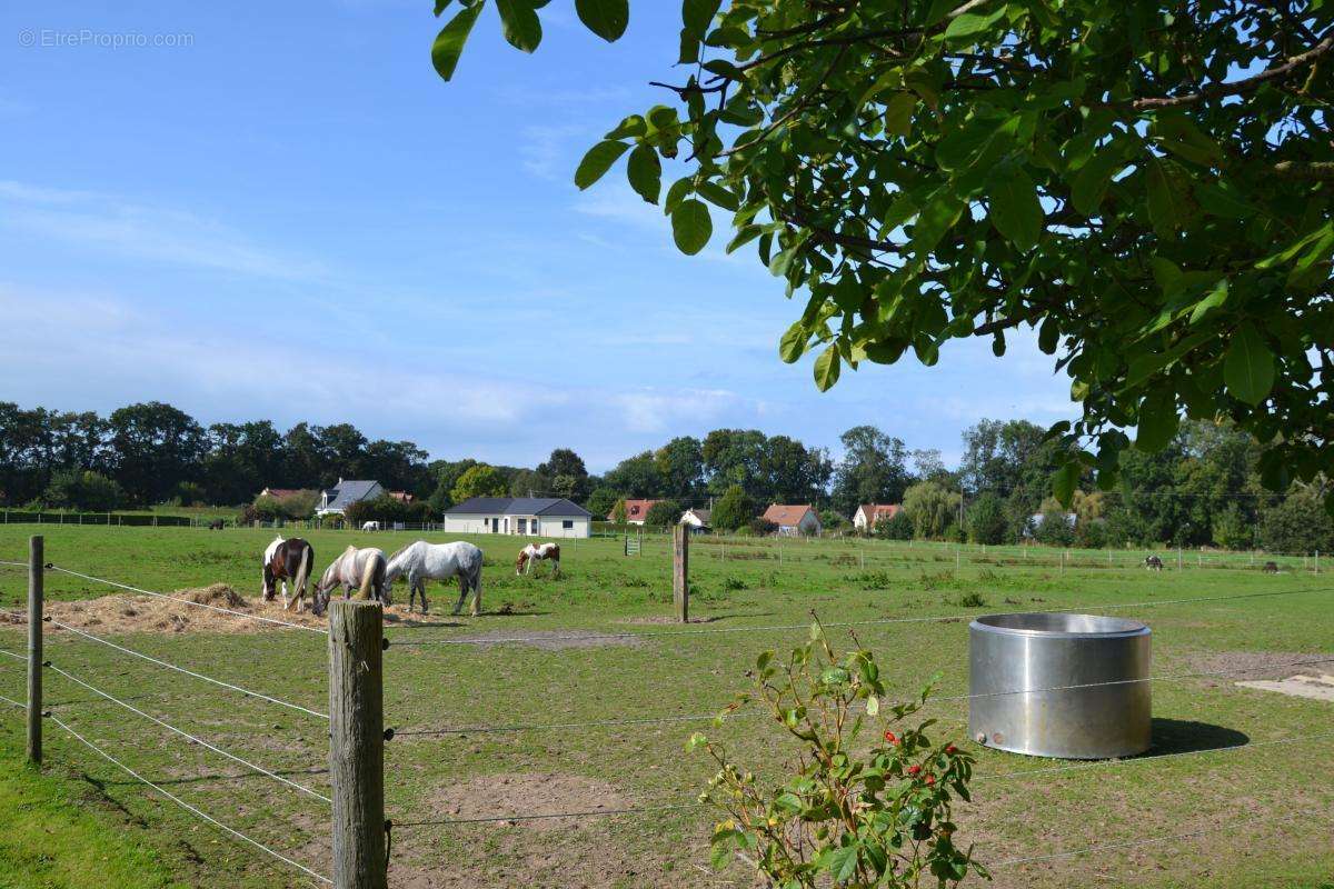 Maison à BLOSSEVILLE