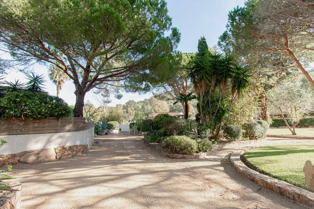 Maison à PORTO-VECCHIO