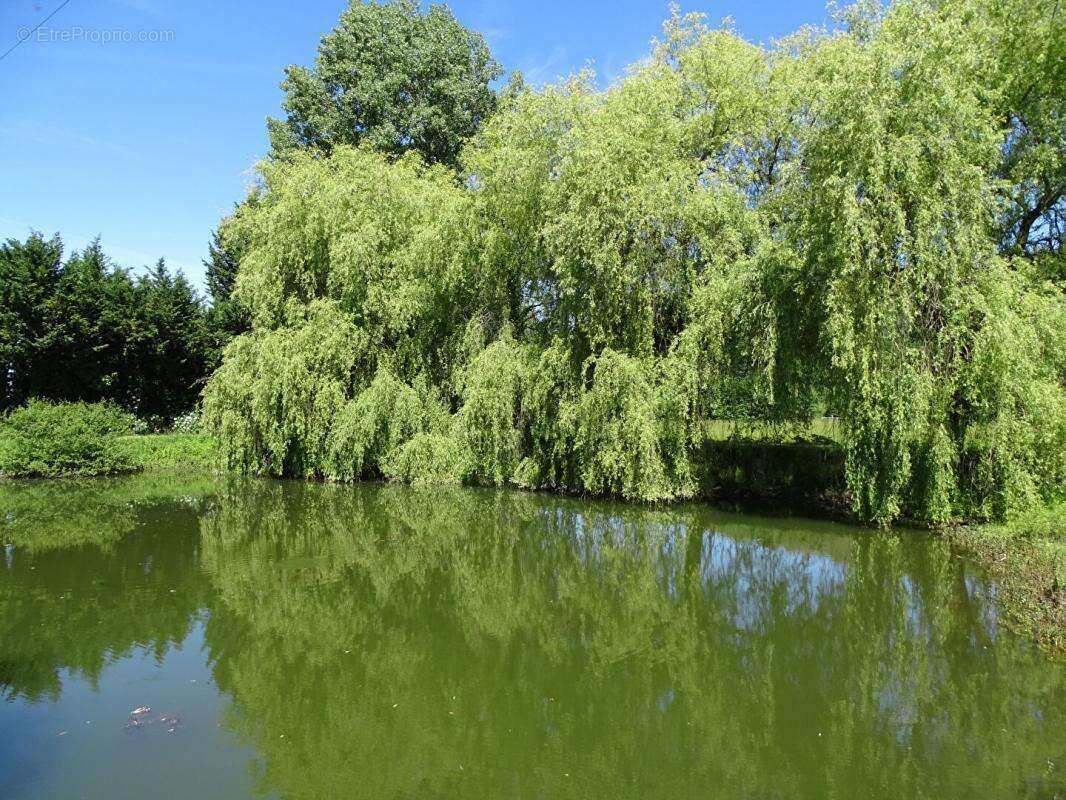 Maison Sainte Orse 4 pièce(s) 195 m2 - photo 3