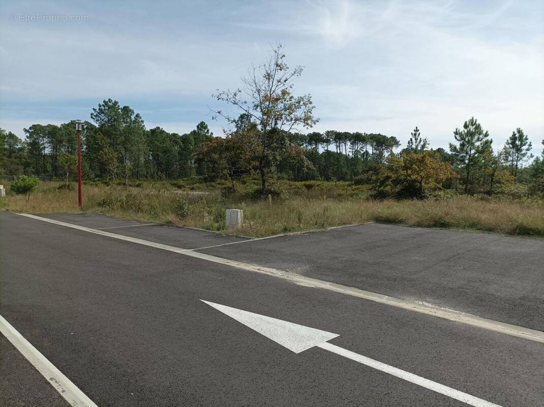 Terrain à PARENTIS-EN-BORN