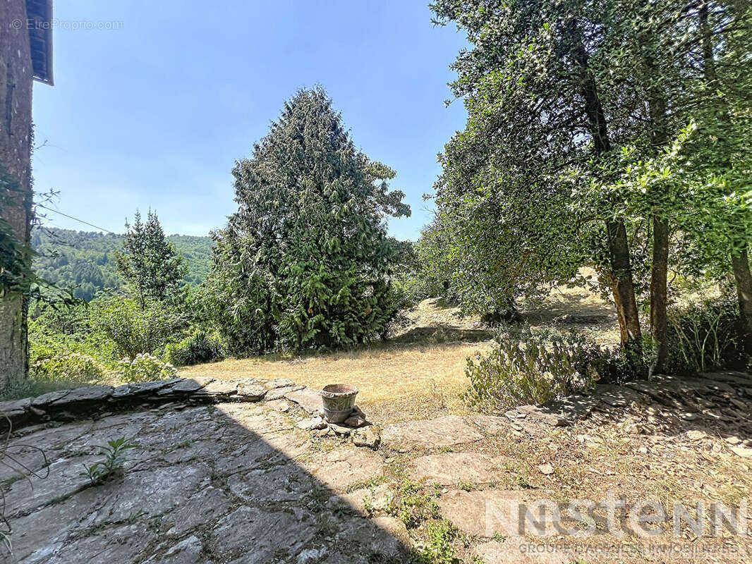 Ancienne ferme et magnanerie cévenole avec gîtes, 6 hectares de terrain et vue sur la vallée - Saint Germain de Calberte - photo 8