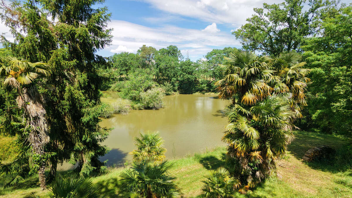 Propriété de caractère avec étang sur plus de 4 hectares - photo 3